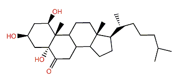 Menellsteroid D